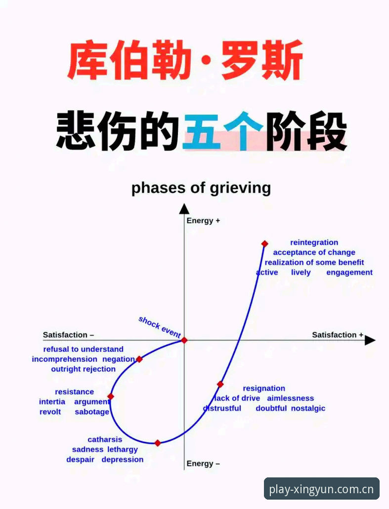 揭秘梅里诺康复背后的真相：从伤病阴霾到欧冠决赛的完整心路历程